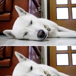 희망이 <b>낮잠</b> 자는데 몰카찍다가 걸렸....ㅋㅋㅋ
