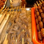 중국에 판매하는 뱀껍데기 <b>꼬치</b>