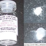 미국 정부 재산 표시된 외계인의 알 경매 -_-''