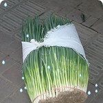안녕하세요 톡에 글을 처음 올려 보네요-0-;;;; 여동생의 황당사건;;