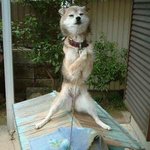 <b>자아</b>~기를 모아야 합니다!