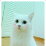 우리 칼라에요 ~_~