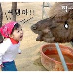 욕해주고싶다,,,,  ㅡㅡ^