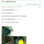 남자중학생 <b>머리스타일</b> 어느게 낫나요?