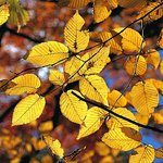 걷고싶은 가을 시골길 추천 5