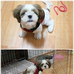 사랑스런 우리 애기들~~^^***