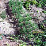 <방탈>비트 랑...<b>아욱</b>이 어떤건가요?