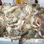 재래시장에서 <b>싱싱</b>한 해산물을...