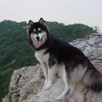 지리산 도사 체험기...9년간의 수련...사진첨부..
