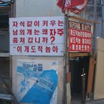 <b>개도</b>적놈!!