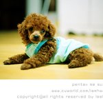우리 <b>토리</b> 성장기?