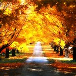 콩이사는 이야기 - <b>산책</b>