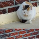 추우면 <b>별수</b>있나,,,, ㅠㅠ;;;;;