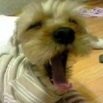 <b>나른</b>한 오후