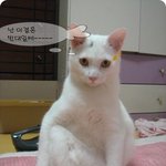 인연.....