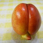 숫컷 <b>천도</b>복숭아