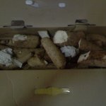 경동<b>택배</b>?...뭐야이거!! 이용하지 마세요..