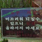 <b>디질</b>수..ㄷㄷ