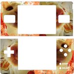 ds스킨 orange <b>cat</b>