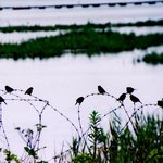 <b>dmz</b>에서 보존하는 세상