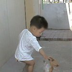 <b>제압</b>당한 강아지~