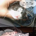 원조 vs <b>짝퉁</b>