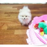 우리 <b>천사</b> 꼬맹이입니다~
