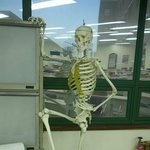 강의실의 섹시한 h<b>모씨</b>