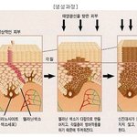 <b>기미</b>,주근깨,아토피,여드름... 원인을 파악하고 제대로 해결하자...