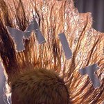 <b>mit</b>대학생의 엽기적인 머리