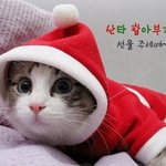 날 싫어하는 애들.....