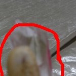 <b>빼빼</b>로 데이 .. <b>빼빼</b>로 이래도 되는거야 ?