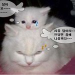 무서운사진으로 <b>밤잠</b>을 못이루신분들... 더~~ 무서운사진~~~~공개...