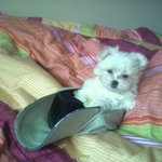 500그램도 안나가는 우리집 "<b>아리</b>" ~ ★