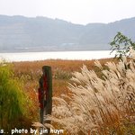 어촌여행..월하성<b>마을</b>