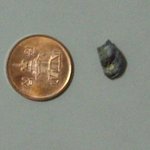 주문해먹는 국, 반찬에서 나온 쇳덩어리