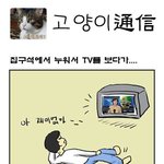 고양이<b>통신</b>(通信) - 정우성 다시만난씨엡