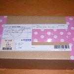 nds 역전재판4 구입