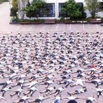고딩들 단체로 <b>시체</b>놀이~