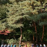 kbs 대하드라마 '대왕<b>세종</b>' 미리보기