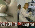 금연 시도에 담배가 <b>도움</b>되?