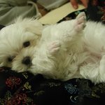 1등했어요..^^ 츄카해주세요..