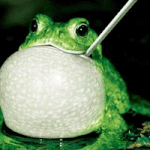 한국 최초 본상 수상! 하지만 한국 광고는