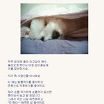 나참~..지가 뭐 사람인줄 아나봐.