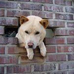 그냥 보고 웃읍시다, 제2의 <b>개벽</b>이