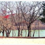 남이섬의 멋진 <b>늦가을</b> 풍경^^