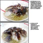 피부<b>미용</b>에 도움이 되는 바퀴