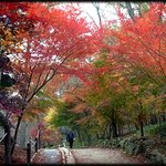 이거 대체 얼마나 할까요??