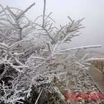 제주도의겨울-제주도<b>한라산</b>겨울모습(제주도<b>한라산</b>눈꽃풍경)