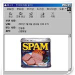 진정한 <b>스팸</b>메일